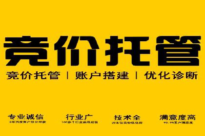 百度信息流广告在旅游行业中的成功案例